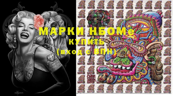 PSILOCYBIN Богородицк