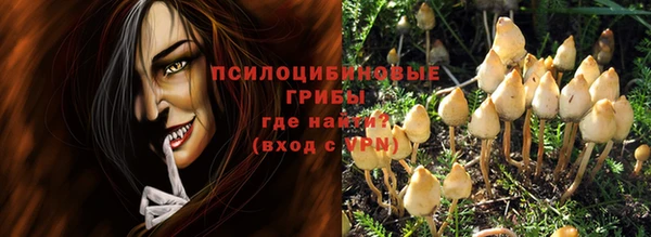 таблы Богданович
