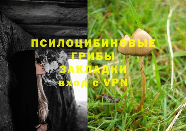 apvp Богородск
