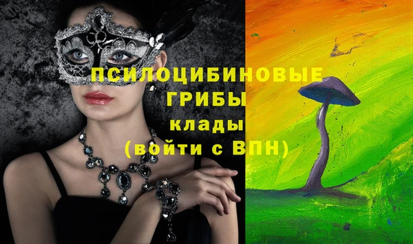 таблы Богданович