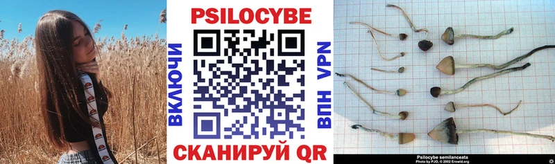 Галлюциногенные грибы Cubensis  Отрадный 